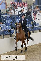 13r14_4834 thumbnail