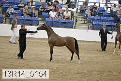 13r14_5154 thumbnail