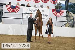 13r14_5234 thumbnail
