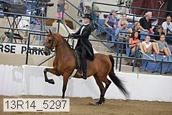 13r14_5297 thumbnail