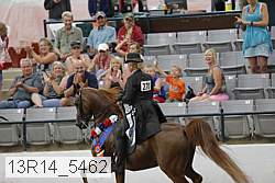 13r14_5462 thumbnail