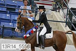 13r14_5556 thumbnail