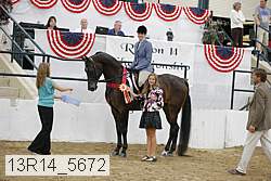 13r14_5672 thumbnail
