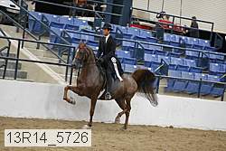 13r14_5726 thumbnail