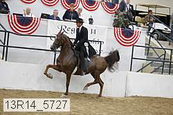 13r14_5727 thumbnail