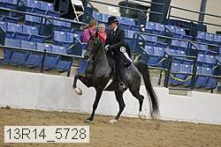 13r14_5728 thumbnail