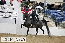 13r14_5729 thumbnail