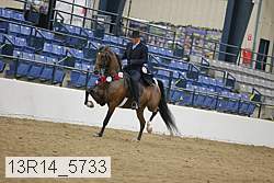 13r14_5733 thumbnail