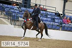 13r14_5734 thumbnail