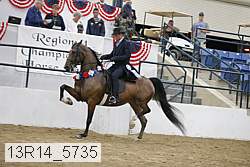 13r14_5735 thumbnail