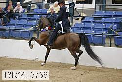 13r14_5736 thumbnail