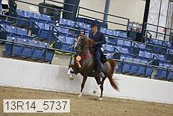 13r14_5737 thumbnail