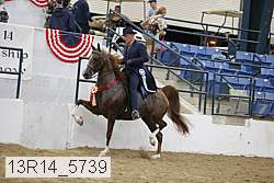 13r14_5739 thumbnail