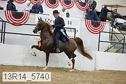 13r14_5740 thumbnail