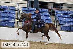 13r14_5741 thumbnail