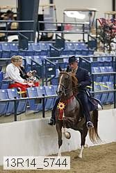 13r14_5744 thumbnail