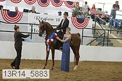 13r14_5883 thumbnail