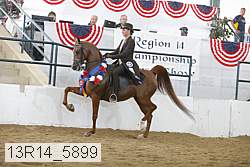 13r14_5899 thumbnail