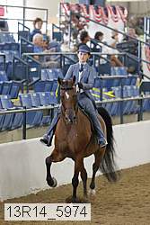 13r14_5974 thumbnail