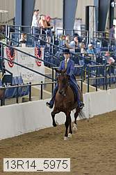 13r14_5975 thumbnail