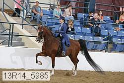 13r14_5985 thumbnail