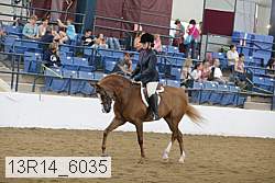 13r14_6035 thumbnail