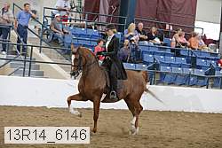 13r14_6146 thumbnail