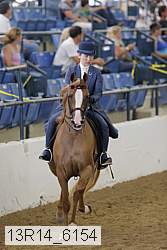 13r14_6154 thumbnail
