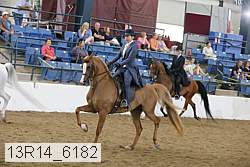 13r14_6182 thumbnail