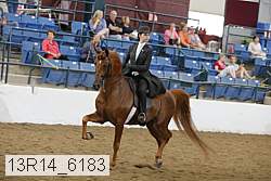 13r14_6183 thumbnail