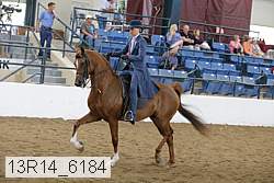 13r14_6184 thumbnail