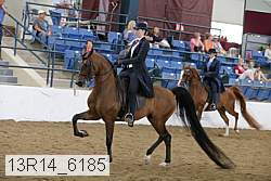 13r14_6185 thumbnail