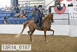 13r14_6187 thumbnail
