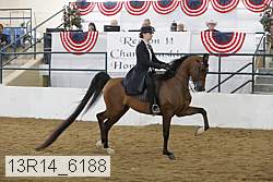 13r14_6188 thumbnail