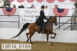 13r14_6189 thumbnail