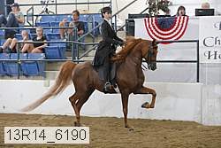 13r14_6190 thumbnail