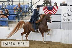13r14_6191 thumbnail