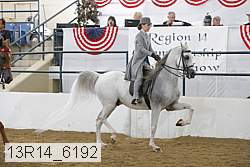 13r14_6192 thumbnail