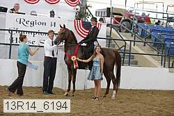13r14_6194 thumbnail