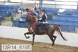 13r14_6195 thumbnail