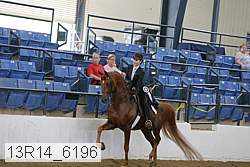 13r14_6196 thumbnail
