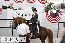 13r14_6197 thumbnail