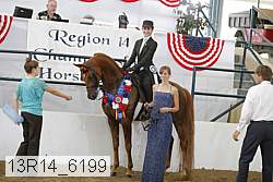 13r14_6199 thumbnail