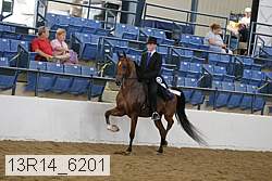 13r14_6201 thumbnail