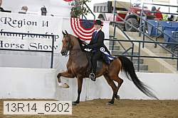 13r14_6202 thumbnail