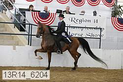 13r14_6204 thumbnail