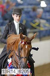 13r14_6205 thumbnail