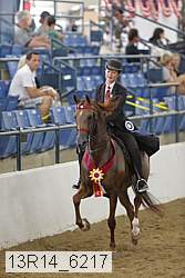 13r14_6217 thumbnail