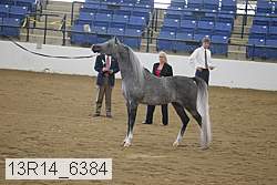 13r14_6384 thumbnail