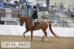 13r14_6468 thumbnail